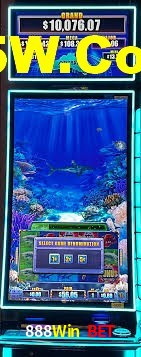 Live Casino 888Win Bet